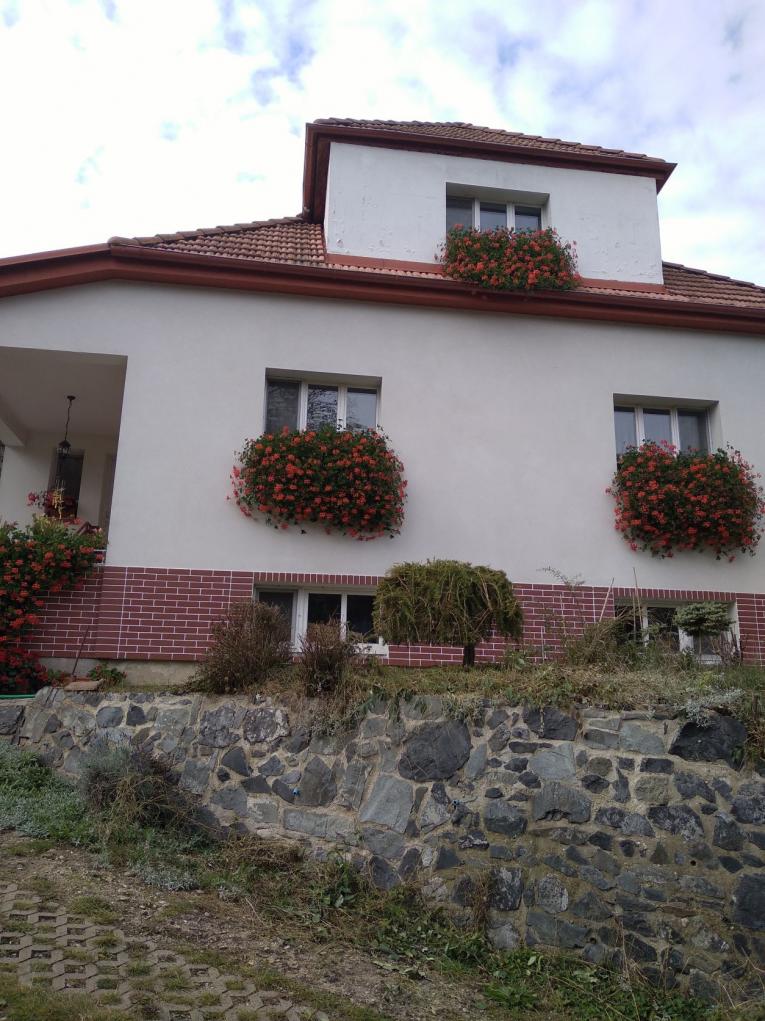 1. místo Alice Zelená