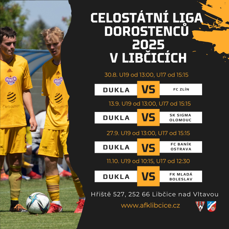 Celostátní liga